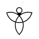 טיפולים הוליסטים